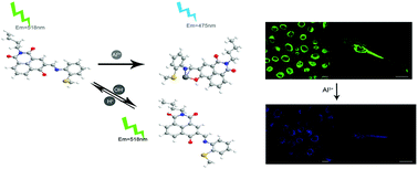Graphical abstract: A novel ratiometric and reversible fluorescent probe based on naphthalimide for the detection of Al3+ and pH with excellent selectivity