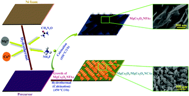 Graphical abstract: Facile preparation of hierarchical MgCo2O4/MgCo2O4 nanochain array composites on Ni foam as advanced electrode materials for supercapacitors