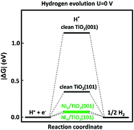Graphical abstract: Effects of a Ni cocatalyst on the photocatalytic hydrogen evolution reaction of anatase TiO2 by first-principles calculations