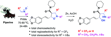 Graphical abstract: Chemo-, regio-, and stereoselectivity in 1,3-dipolar cycloaddition of piperine with nitrones. A cycloadditive route to aminoalcohols