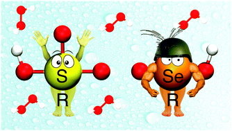 Graphical abstract: Sequential oxidations of phenylchalcogenides by H2O2: insights into the redox behavior of selenium via DFT analysis