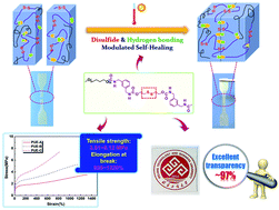 Graphical abstract: A colorless, transparent and self-healing polyurethane elastomer modulated by dynamic disulfide and hydrogen bonds