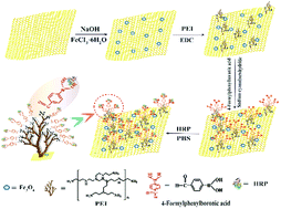 Graphical abstract: The fabrication of dendrimeric phenylboronic acid-functionalized magnetic graphene oxide nanoparticles with excellent adsorption performance for the separation and purification of horseradish peroxidase