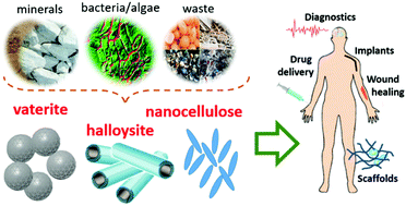 Graphical abstract: Naturally derived nano- and micro-drug delivery vehicles: halloysite, vaterite and nanocellulose