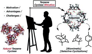 Graphical abstract: En route to terpene natural products utilizing supramolecular cyclase mimetics