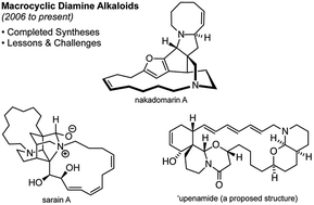Graphical abstract: Recent progress on the total syntheses of macrocyclic diamine alkaloids