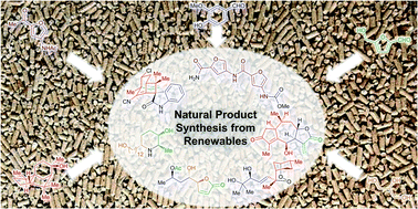 Graphical abstract: Making natural products from renewable feedstocks: back to the roots?