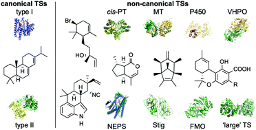 Graphical abstract: Terpene synthases in disguise: enzymology, structure, and opportunities of non-canonical terpene synthases