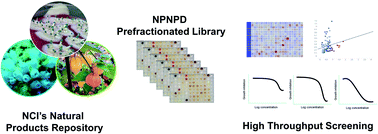 Graphical abstract: Creating and screening natural product libraries