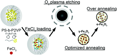 Graphical abstract: Probing the multi-step crystallization dynamics of micelle templated nanoparticles: structural evolution of single crystalline γ-Fe2O3
