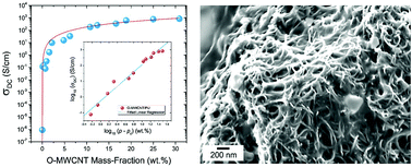Graphical abstract: Percolating conductive networks in multiwall carbon nanotube-filled polymeric nanocomposites: towards scalable high-conductivity applications of disordered systems