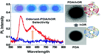 Graphical abstract: Visual detection of odorant geraniol enabled by integration of a human olfactory receptor into polydiacetylene/lipid nano-assembly