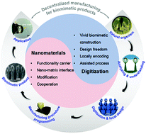 Graphical abstract: Decentralized manufacturing for biomimetics through cooperation of digitization and nanomaterial design
