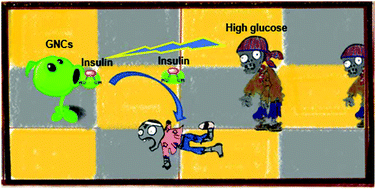 Graphical abstract: Gold nanoclusters for controlled insulin release and glucose regulation in diabetes