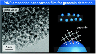 Graphical abstract: Increased electrode activity during geosmin oxidation provided by Pt nanoparticle-embedded nanocarbon film