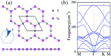 Graphical abstract: Two-dimensional honeycomb-kagome Ta2S3: a promising single-spin Dirac fermion and quantum anomalous hall insulator with half-metallic edge states
