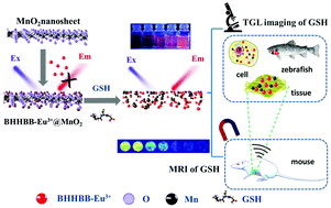Graphical abstract: A dual-modal nanoprobe based on Eu(iii) complex–MnO2 nanosheet nanocomposites for time-gated luminescence–magnetic resonance imaging of glutathione in vitro and in vivo