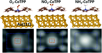 Graphical abstract: O2, NO2 and NH3 coordination to Co-porphyrin studied with scanning tunneling microscopy on Au(111)