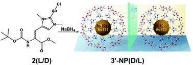 Graphical abstract: One-step synthesis and XPS investigations of chiral NHC–Au(0)/Au(i) nanoparticles