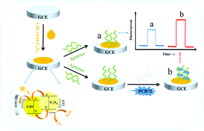 Graphical abstract: One-pot synthesis of a CdS-reduced graphene oxide–carbon nitride composite for self-powered photoelectrochemical aptasensing of PCB72