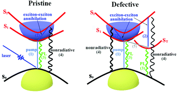 Graphical abstract: Neutral and defect-induced exciton annihilation in defective monolayer WS2