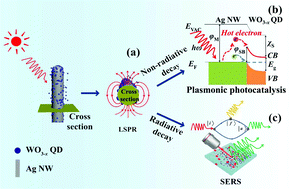 Graphical abstract: Oxygen defect-induced localized surface plasmon resonance at the WO3−x quantum dot/silver nanowire interface: SERS and photocatalysis