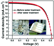 Graphical abstract: Water-resistant AgBiS2 colloidal nanocrystal solids for eco-friendly thin film photovoltaics
