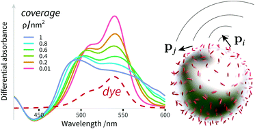Graphical abstract: Electromagnetic interactions of dye molecules surrounding a nanosphere