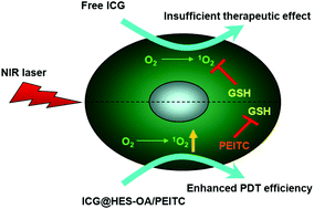 Graphical abstract: Potentiating photodynamic therapy of ICG-loaded nanoparticles by depleting GSH with PEITC