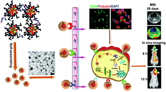 Graphical abstract: Development of a hybrid nanocarrier-recognizing tumor vasculature and penetrating the BBB for glioblastoma multi-targeting therapy