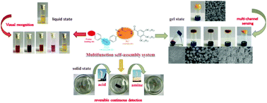 Graphical abstract: Multifunctional supramolecular self-assembly system for colorimetric detection of Hg2+, Fe3+, Cu2+ and continuous sensing of volatile acids and organic amine gases