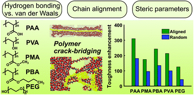 Graphical abstract: Nanoscale toughening of ultrathin graphene oxide-polymer composites: mechanochemical insights into hydrogen-bonding/van der Waals interactions, polymer chain alignment, and steric parameters