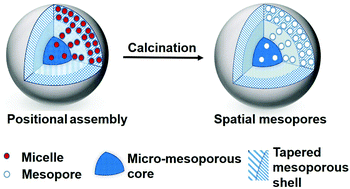 Graphical abstract: Direct synthesis of core–shell MFI zeolites with spatially tapered trimodal mesopores via controlled orthogonal self-assembly