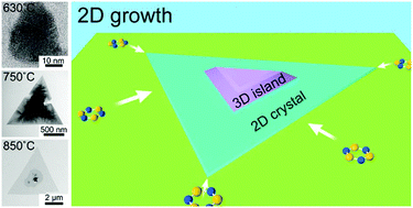 Graphical abstract: Surface-diffusion-limited growth of atomically thin WS2 crystals from core–shell nuclei