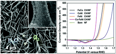 Graphical abstract: Self-supported Co-doped FeNi carbonate hydroxide nanosheet array as a highly efficient electrocatalyst towards the oxygen evolution reaction in an alkaline solution
