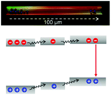 Graphical abstract: Ultra-long distance carrier transportation in bandgap-graded CdSxSe1−x nanowire waveguides