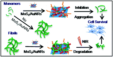 Graphical abstract: Multifunctional inhibitors of β-amyloid aggregation based on MoS2/AuNR nanocomposites with high near-infrared absorption