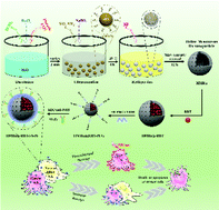 Graphical abstract: Hollow mesoporous ruthenium nanoparticles conjugated bispecific antibody for targeted anti-colorectal cancer response of combination therapy