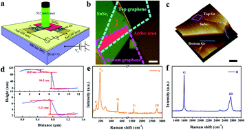 Graphical abstract: High performance tin diselenide photodetectors dependent on thickness: a vertical graphene sandwiched device and interfacial mechanism