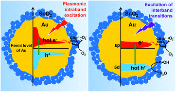 Graphical abstract: Hot carriers in action: multimodal photocatalysis on Au@SnO2 core–shell nanoparticles
