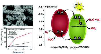 Graphical abstract: Efficient photocatalytic nitrogen fixation under ambient conditions enabled by the heterojunctions of n-type Bi2MoO6 and oxygen-vacancy-rich p-type BiOBr