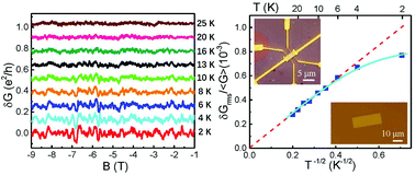 Graphical abstract: Universal conductance fluctuations and phase-coherent transport in a semiconductor Bi2O2Se nanoplate with strong spin–orbit interaction