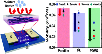 Graphical abstract: Conjugated polymer/paraffin blends for organic field-effect transistors with high environmental stability