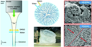Graphical abstract: Wet spinning and radial self-assembly of a carbohydrate low molecular weight gelator into well organized hydrogel filaments