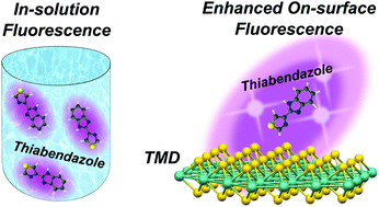 Graphical abstract: Fluorescence enhancement of fungicide thiabendazole by van der Waals interaction with transition metal dichalcogenide nanosheets for highly specific sensors