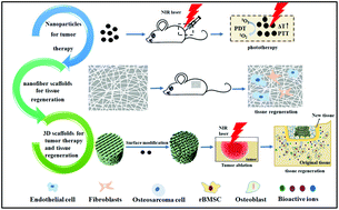 Graphical abstract: Nanobiomaterials: from 0D to 3D for tumor therapy and tissue regeneration
