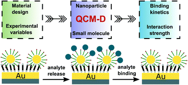 Graphical abstract: Probing the interaction of nanoparticles with small molecules in real time via quartz crystal microbalance monitoring