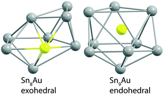 Graphical abstract: Gold doping of tin clusters: exo- vs. endohedral complexes