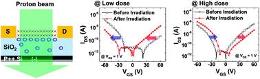 Graphical abstract: Dose-dependent effect of proton irradiation on electrical properties of WSe2 ambipolar field effect transistors