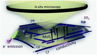 Graphical abstract: Transforming layered MoS2 into functional MoO2 nanowires